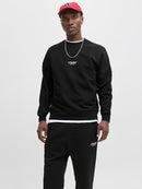 JACK & JONES JJESOHO SWEAT CREW NECK NOOS Freizeitpullover JACK & JONES