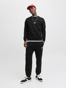 JACK & JONES JJESOHO SWEAT CREW NECK NOOS Freizeitpullover JACK & JONES