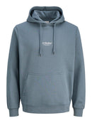 JACK & JONES JJESOHO SWEAT HOOD NOOS Freizeitpullover JACK & JONES 176707 S