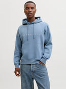 JACK & JONES JJESTAR JJ SWEAT HOOD NOOS Oceanview Freizeitpullover JACK & JONES