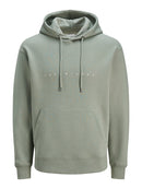 JACK & JONES JJESTAR JJ SWEAT HOOD NOOS Oceanview Freizeitpullover JACK & JONES Iceberg Green S