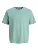 JACK & JONES JJESTAR JJ TEE SS NOOS Oceanview Freizeitshirts /-hemden JACK & JONES Mineral Blue S
