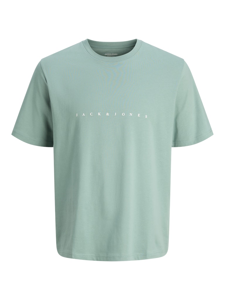 JACK & JONES JJESTAR JJ TEE SS NOOS Oceanview Freizeitshirts /-hemden JACK & JONES Mineral Blue S