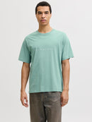 JACK & JONES JJESTAR JJ TEE SS NOOS Oceanview Freizeitshirts /-hemden JACK & JONES