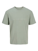 JACK & JONES JJESTAR JJ TEE SS NOOS Oceanview Freizeitshirts /-hemden JACK & JONES Iceberg Green S