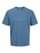 JACK & JONES JJESTAR JJ TEE SS NOOS Oceanview Freizeitshirts /-hemden JACK & JONES Oceanview S