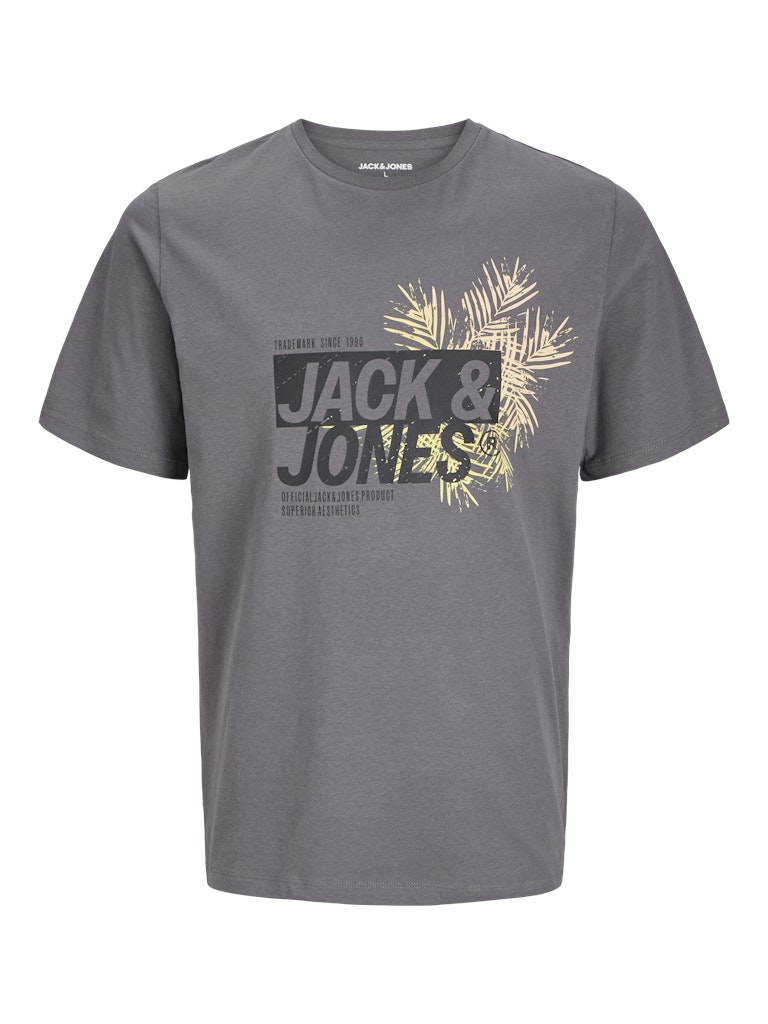 JACK & JONES JJJAXON TEE SS CREW NECK LN Freizeitshirts /-hemden JACK & JONES Castlerock S