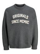 JACK & JONES JORMEADOWS KNIT CREW NECK Freizeitpullover JACK & JONES 179084 S