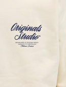 JACK & JONES JORNORREBRO TYPO BACK SWEAT HOOD SN Freizeitpullover JACK & JONES