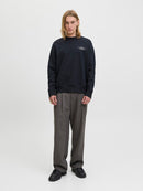 JACK & JONES JPRBLACHAD BRANDING SWEAT CREW NECK Freizeitpullover JACK & JONES