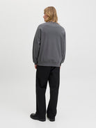 JACK & JONES JPRBLACHAD BRANDING SWEAT CREW NECK Freizeitpullover JACK & JONES