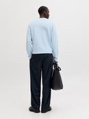 JACK & JONES JPRBLAMILANO SPRING KNIT CREW NECK Freizeitpullover JACK & JONES