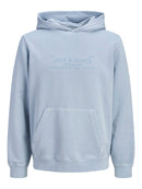 JACK & JONES JPRBLUAIDEN HOOD SWEAT Freizeitpullover JACK & JONES Ashley Blue S