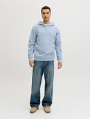 JACK & JONES JPRBLUAIDEN HOOD SWEAT Freizeitpullover JACK & JONES