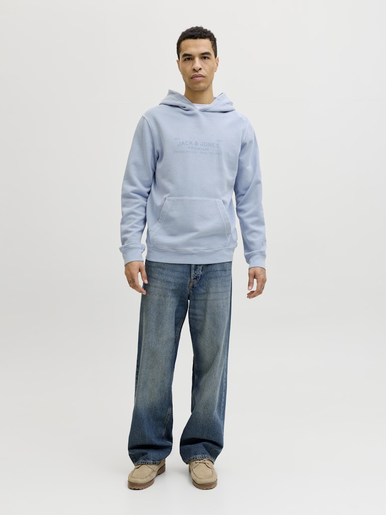 JACK & JONES JPRBLUAIDEN HOOD SWEAT Freizeitpullover JACK & JONES