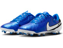NIKE LEGEND 10 ACADEMY FG/MG Naturrasen NIKE