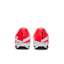 NIKE ZOOM VAPOR 15 ACADEMY FG/MG Naturrasen NIKE