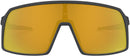 OAKLEY SUTRO