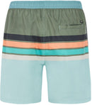 PROTEST PRTAvik beachshort Badehose PROTEST