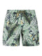 PROTEST PRTGLORY beachshort