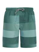 PROTEST PRTJames JR beachshort