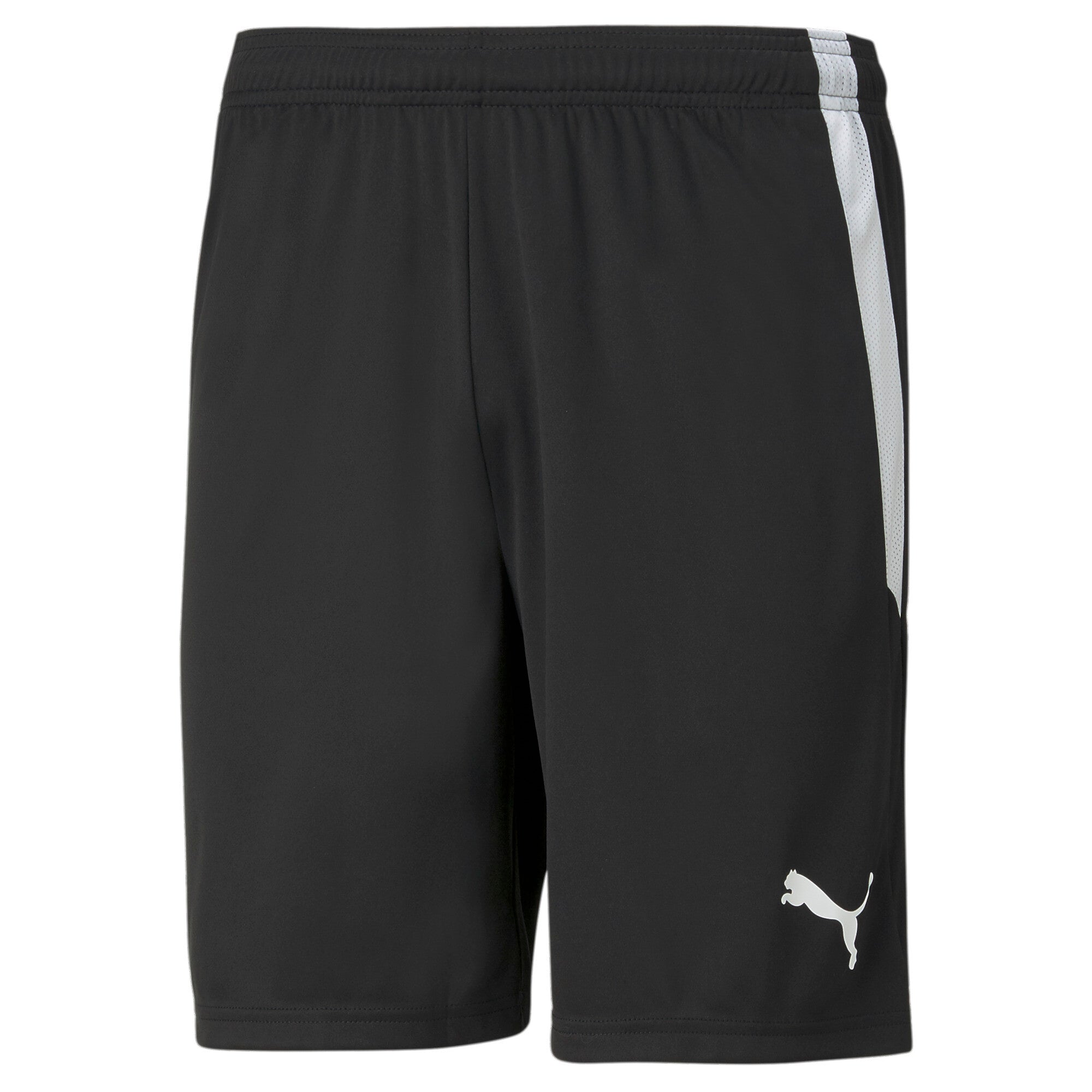 PUMA teamLIGA Shorts Fußballhosen PUMA Black L
