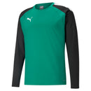 PUMA teamLIGA Training Sweat 002 ELECTRIC BLUE LEMONADE-PUM Fußballoberteile PUMA PEPPER GREEN-PUMA BLACK L