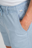 REELL REFLEX EASY SHORT Freizeithosen REELL