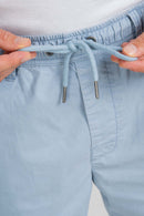 REELL REFLEX EASY SHORT Freizeithosen REELL