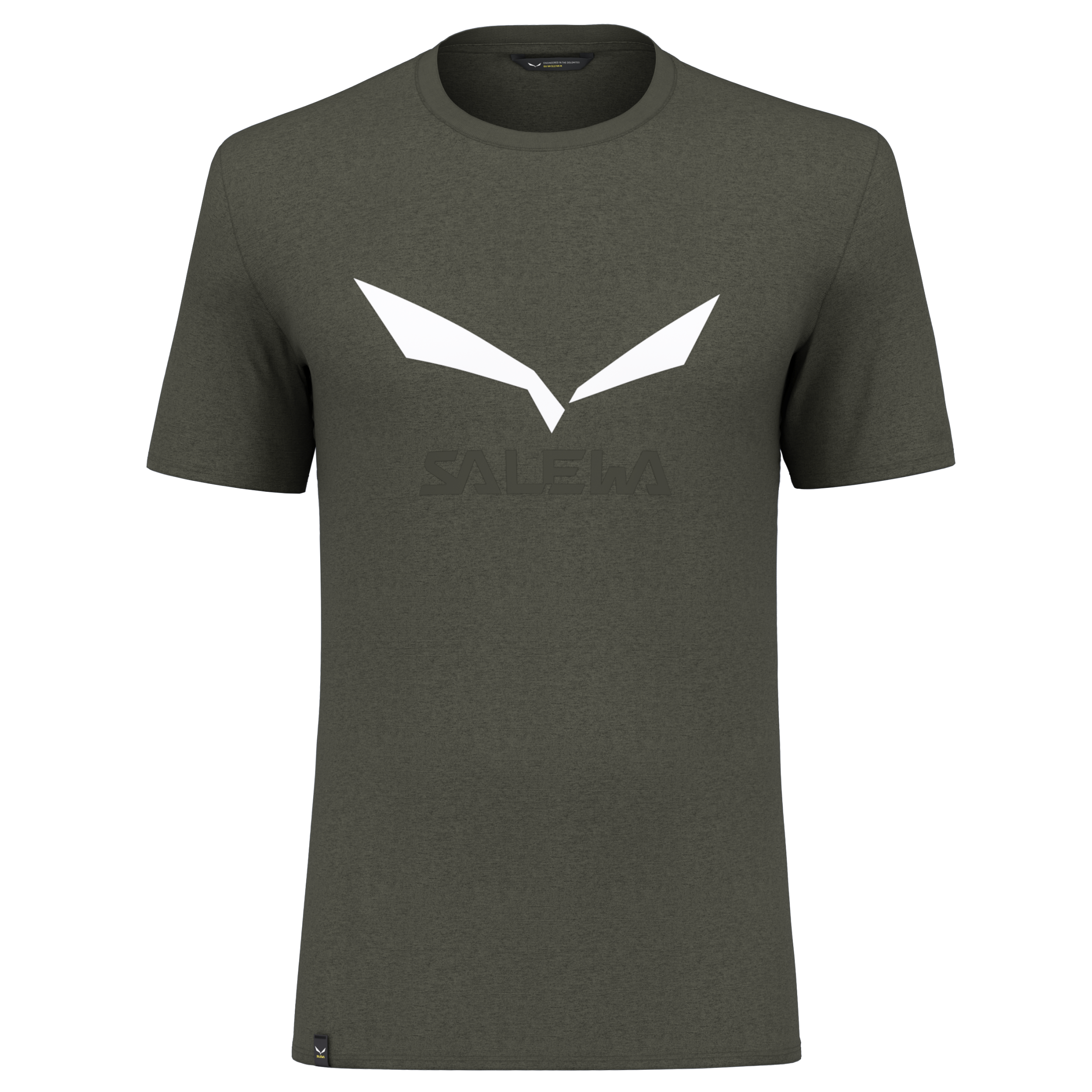 SALEWA SOLIDLOGO DRY M T-SHIRT. Wandershirts /-hemden SALEWA 5286 dark olive melange S