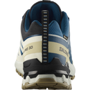 SALOMON SHOES XA PRO 3D V9 GTX Dark B/Icicle/Alo infinity teel Trail SALOMON