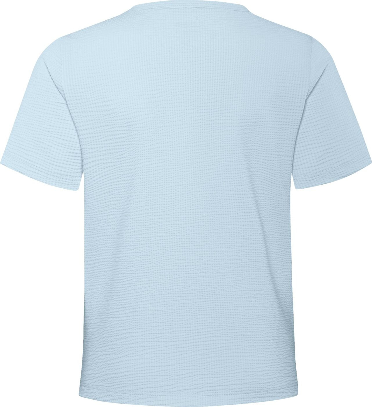 SCHNEIDER SPORTSWEAR ANDRAW-SHIRT icegreen Trainingsshirts SCHNEIDER SPORTSWEAR