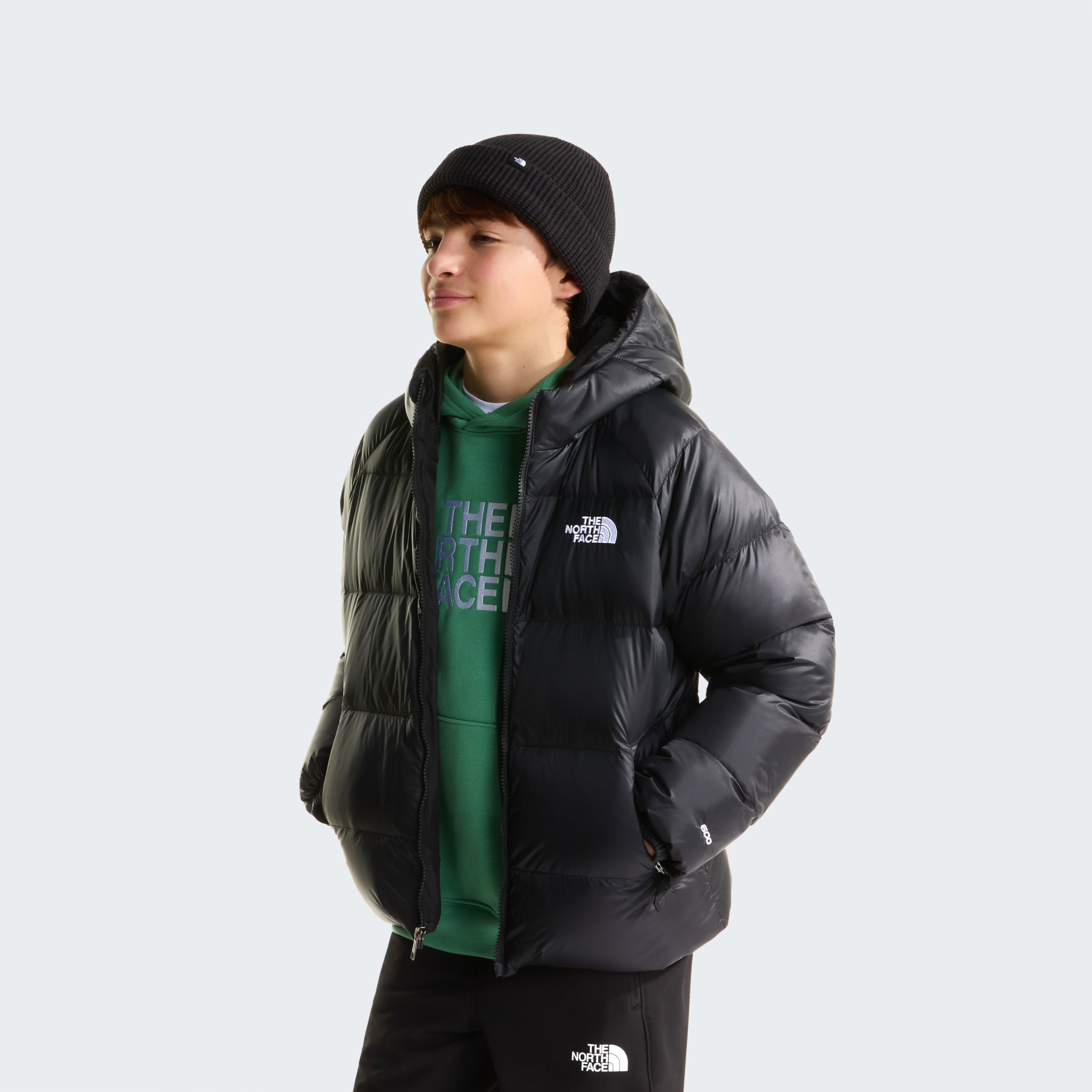 THE NORTH FACE B HYDRENALITE DOWN HOODED JACKET Wanderjacken THE NORTH FACE