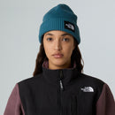 THE NORTH FACE SALTY LINED BEANIE THE NORTH FACE