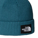 THE NORTH FACE SALTY LINED BEANIE THE NORTH FACE