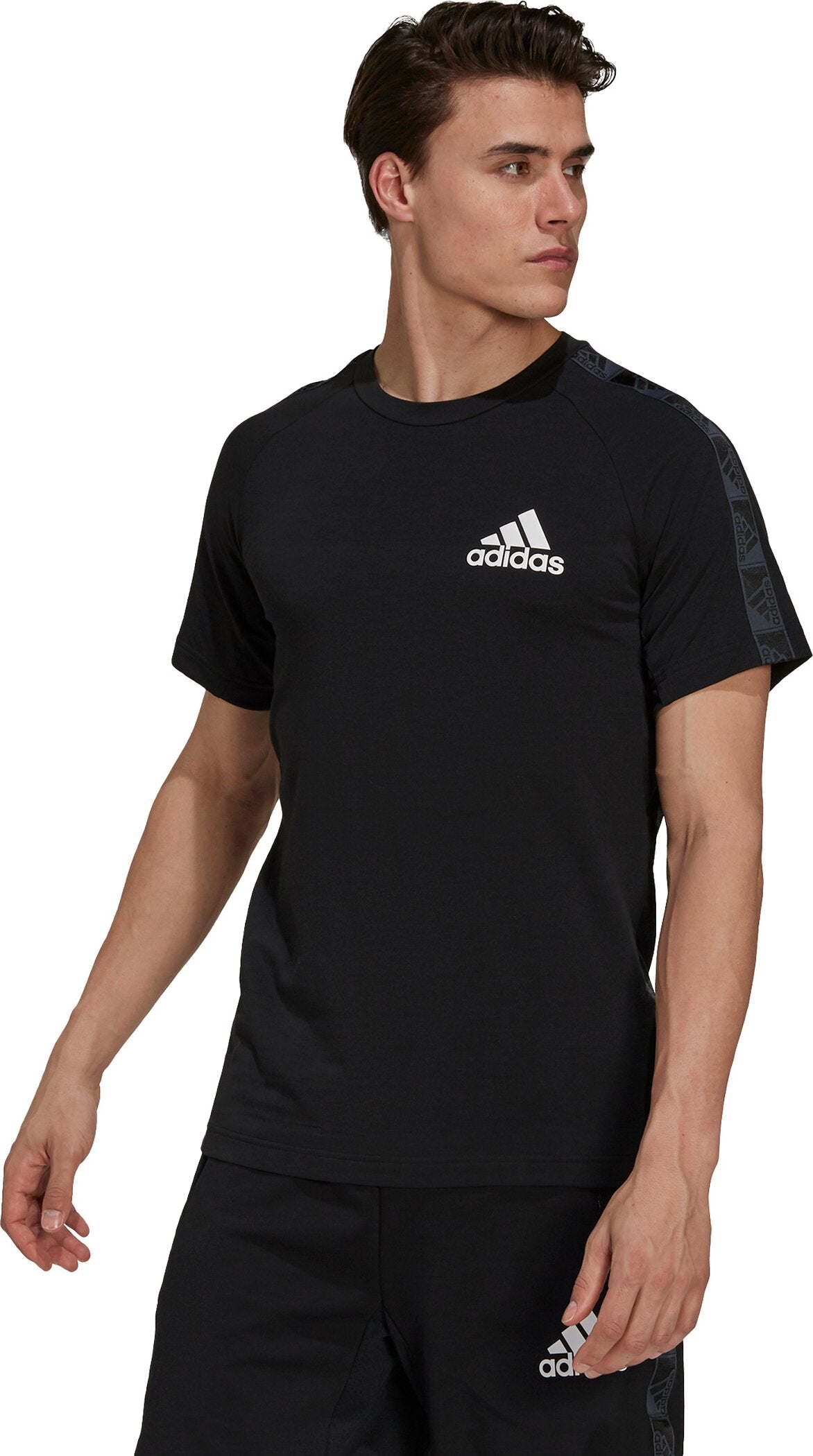 ADIDAS M MT T Trainingsshirts ADIDAS