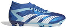 ADIDAS PREDATOR ACCURACY.2 FG Naturrasen ADIDAS BROYAL/FTWWHT/BLIBLU 42