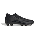 ADIDAS PREDATOR ACCURACY.3 FG Naturrasen ADIDAS CBLACK/CBLACK/FTWWHT 40