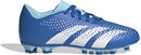 ADIDAS PREDATOR ACCURACY.4 FxG J Naturrasen ADIDAS BROYAL/FTWWHT/BLIBLU 33