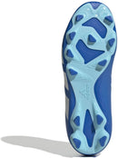 ADIDAS PREDATOR ACCURACY.4 FxG J Naturrasen ADIDAS