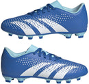 ADIDAS PREDATOR ACCURACY.4 FxG J Naturrasen ADIDAS