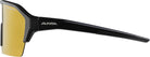 ALPINA ALPINA RAM HR HVLM+ Fahrradbrille Fahrradbrillen ALPINA