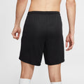 NIKE Herren Teamshorts Dri-FIT PARK III