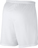 NIKE Herren Teamshorts Dri-FIT PARK III Fußballhosen NIKE