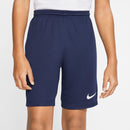 NIKE Kinder Shorts Dri-FIT Park III Fußballhosen NIKE
