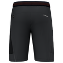 SALEWA PEDROC 3 DST M CARGO SHORTS Herren Wanderhose Wanderhosen SALEWA