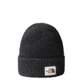 THE NORTH FACE SALTY BAE LINED BEANIE